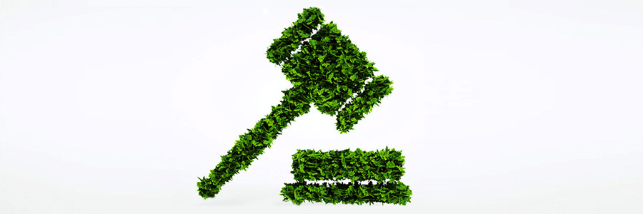 Our Environmental Policy